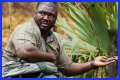 Nonso Anozie - Zoo Cast Member